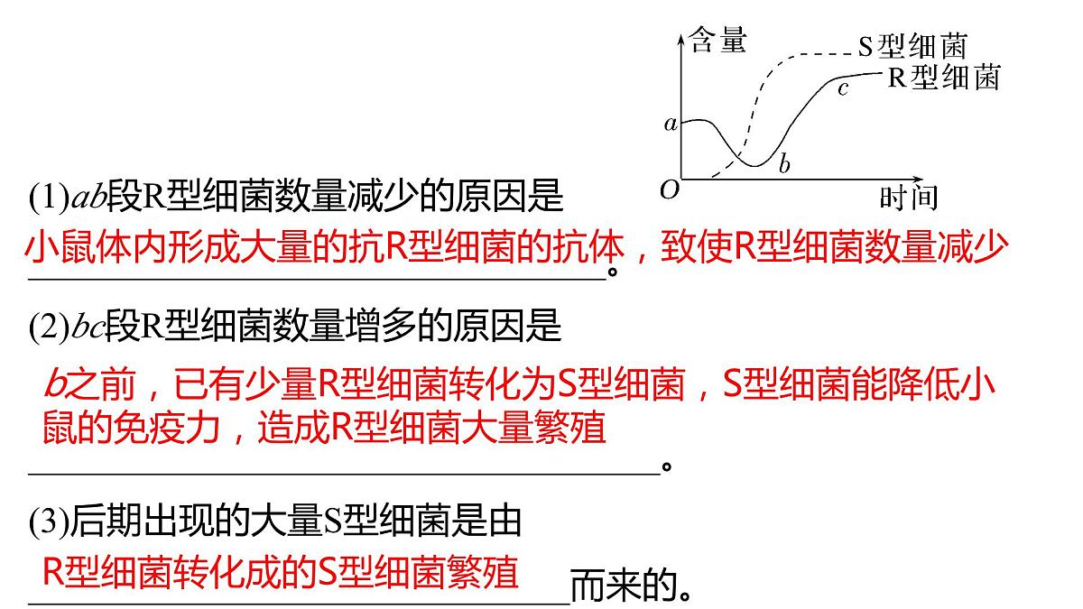 2023届高三生物复习课件基因的本质第7页