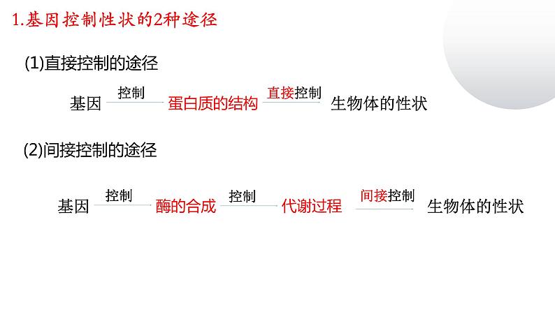 2023届高三生物复习课件基因的表达05