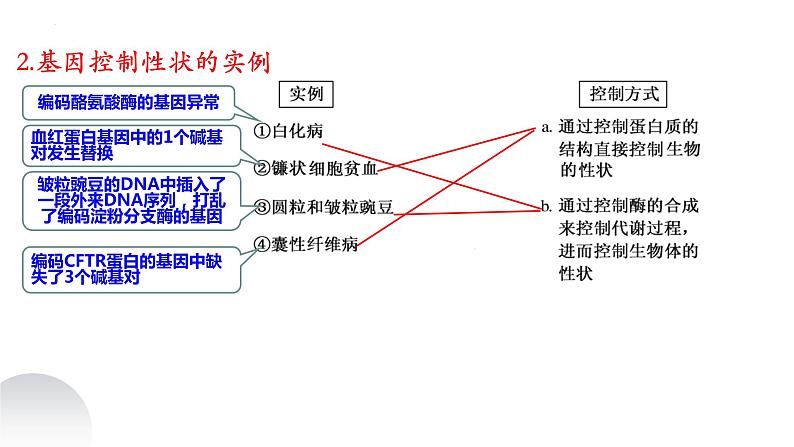 2023届高三生物复习课件基因的表达06