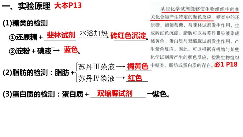 2023届高三生物复习课件检测生物组织中的糖类、脂肪和蛋白质02