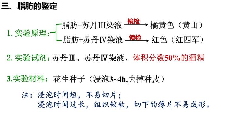 2023届高三生物复习课件检测生物组织中的糖类、脂肪和蛋白质06