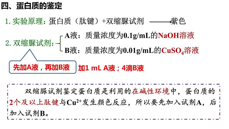 2023届高三生物复习课件检测生物组织中的糖类、脂肪和蛋白质第8页