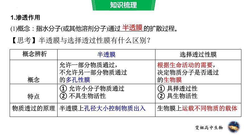 2023届高三生物复习课件物质跨膜运输04