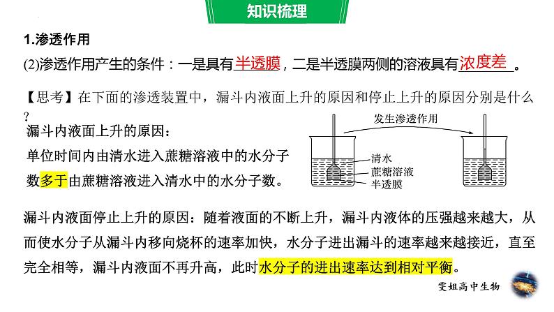 2023届高三生物复习课件物质跨膜运输05