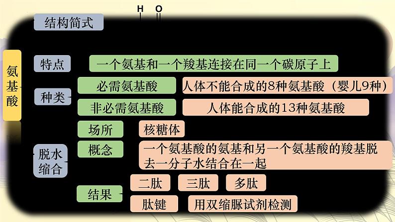 2023届高三生物复习课件细胞中的蛋白质和核酸第3页