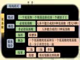 2023届高三生物复习课件细胞中的蛋白质和核酸