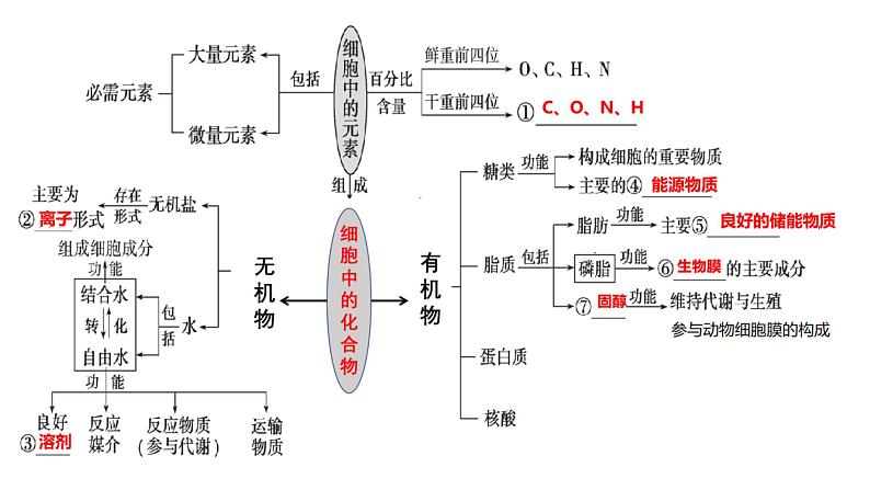 2023届高三生物复习课件细胞中的无机物、糖类和脂质第2页