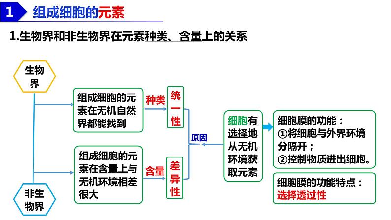 2023届高三生物复习课件细胞中的无机物、糖类和脂质第4页