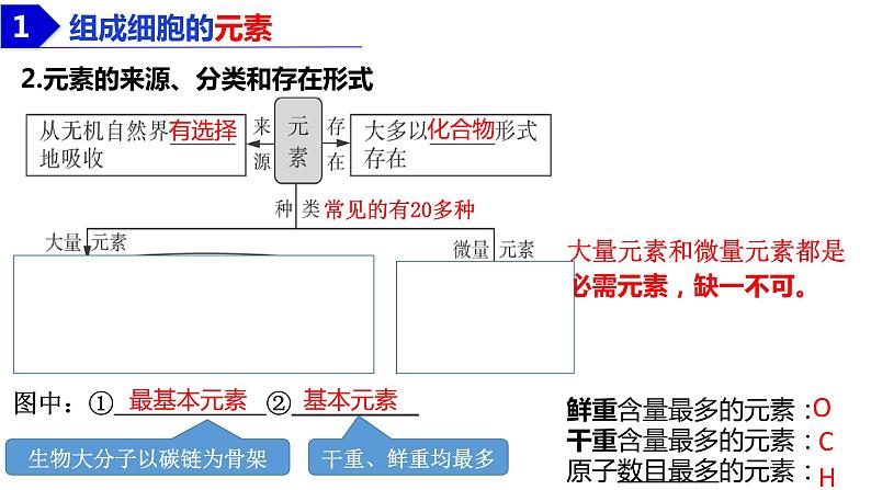 2023届高三生物复习课件细胞中的无机物、糖类和脂质第5页