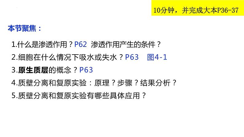 2023届高三生物复习水进出细胞的原理 课件PPT第2页