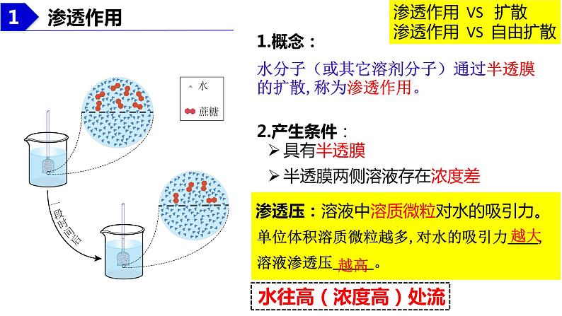 2023届高三生物复习水进出细胞的原理 课件PPT第3页