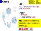 2023届高三生物复习水进出细胞的原理 课件PPT