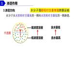 2023届高三生物复习水进出细胞的原理 课件PPT