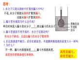 2023届高三生物复习水进出细胞的原理 课件PPT