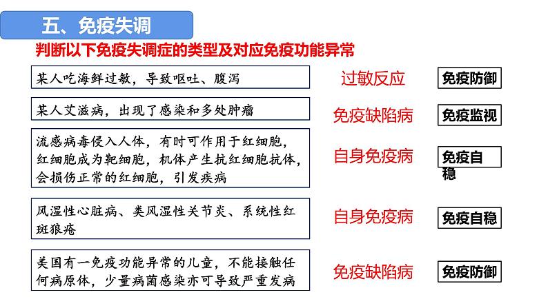 2023届高三复习生物：第25讲 免疫调节（免疫失调和免疫学的应用）课件01