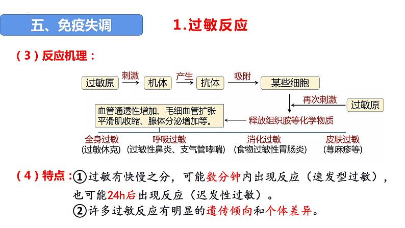 2023届高三复习生物：第25讲 免疫调节（免疫失调和免疫学的应用）课件04