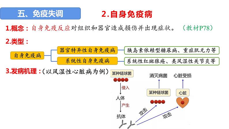 2023届高三复习生物：第25讲 免疫调节（免疫失调和免疫学的应用）课件07