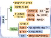 2023届高三复习生物：第三章 细胞膜和细胞核课件