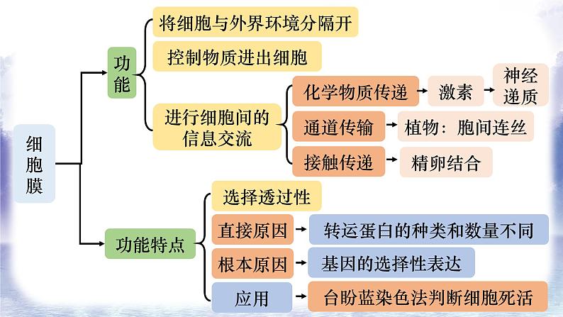 2023届高三复习生物：第三章 细胞膜和细胞核课件第2页