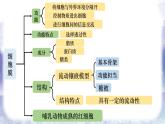 2023届高三复习生物：第三章 细胞膜和细胞核课件