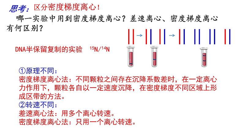 2023届高三复习生物：细胞器和生物膜系统课件第4页