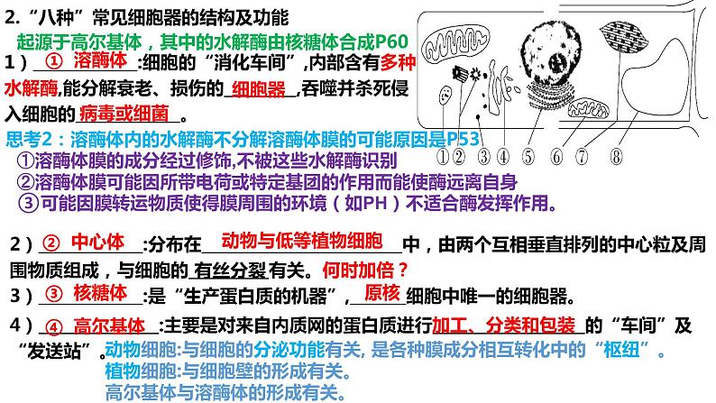 2023届高三复习生物：细胞器和生物膜系统课件第6页