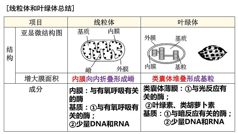 2023届高三复习生物：细胞器和生物膜系统课件第8页