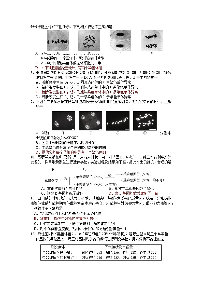 北京市海淀区2022-2023学年高三下学期查缺补漏试题+生物+Word版含答案02