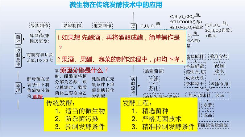 2023届高考生物复习专题：发酵工程课件PPT05