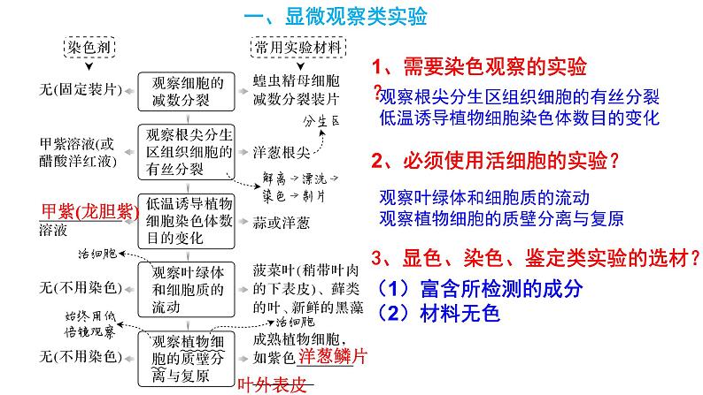 2023届高考生物复习专题：实验与探究课件PPT第5页