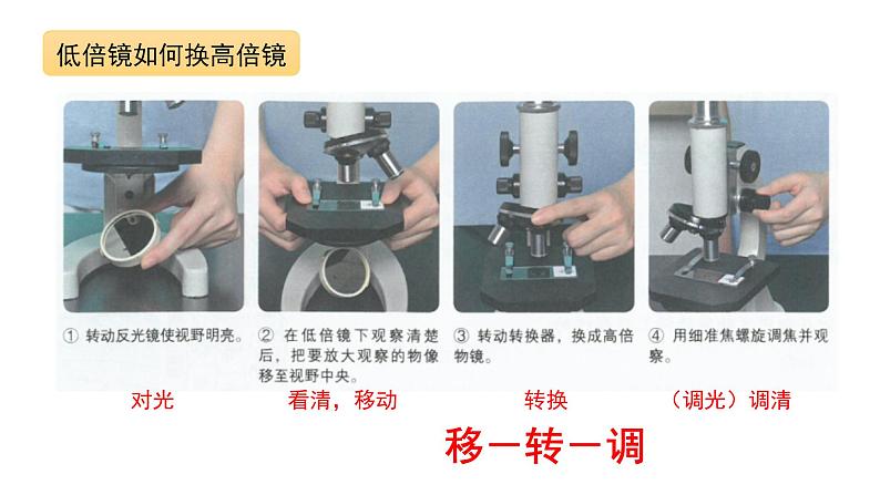 2023届高考生物复习专题：实验与探究课件PPT第7页