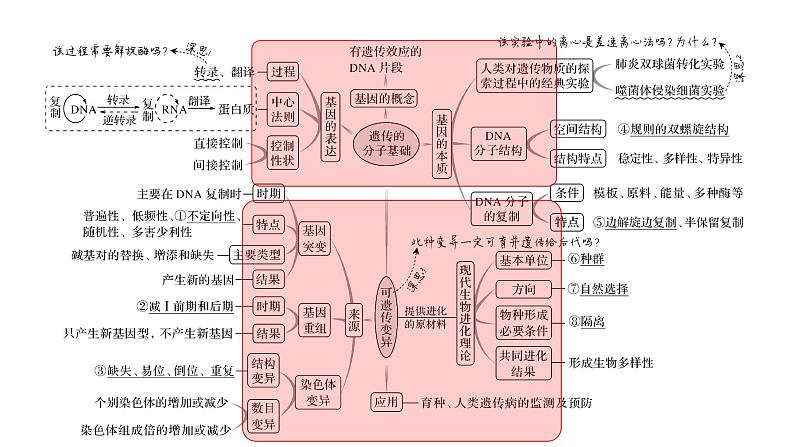 2023届高考生物专题复习课件： 遗传变异进化第2页