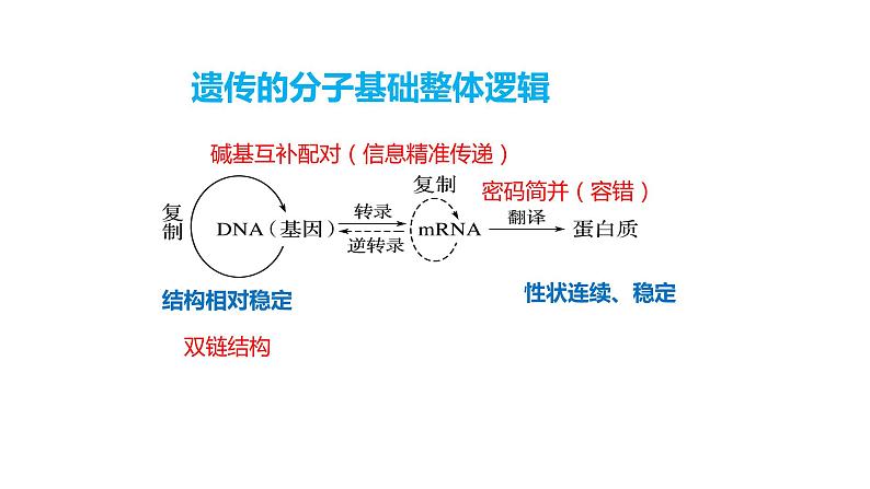 2023届高考生物专题复习课件： 遗传变异进化第4页