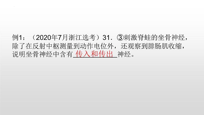 2023届高三复习课件神经调节复习第4页