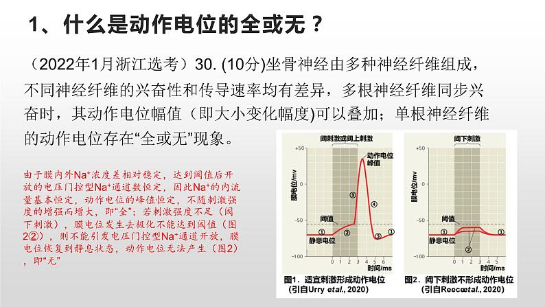 2023届高三复习课件神经调节复习第8页