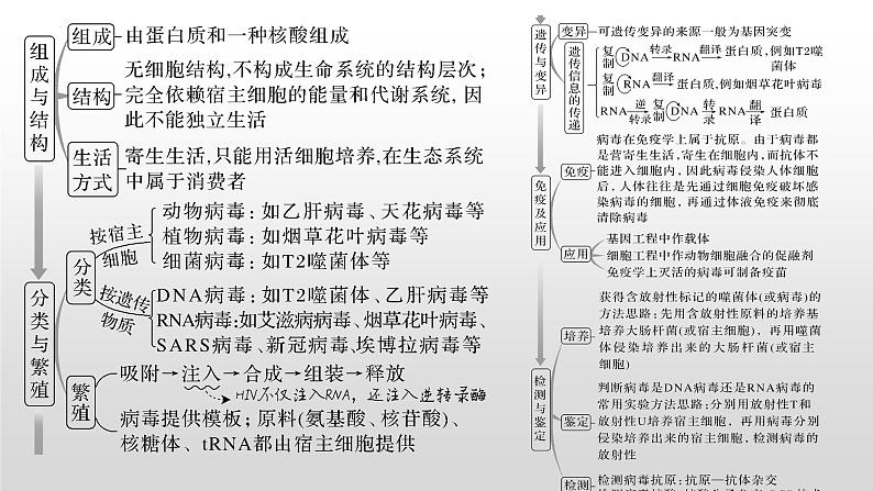 2023届高三生物复习课件01 病毒专题+组成细胞的分子第3页