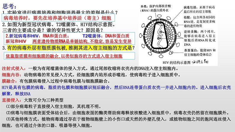 2023届高三生物复习课件01 病毒专题+组成细胞的分子第4页