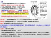 2023届高三生物复习课件01 病毒专题+组成细胞的分子