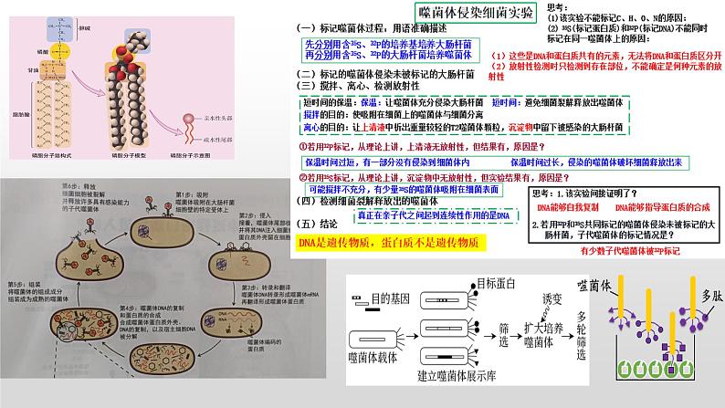 2023届高三生物复习课件01 病毒专题+组成细胞的分子第8页