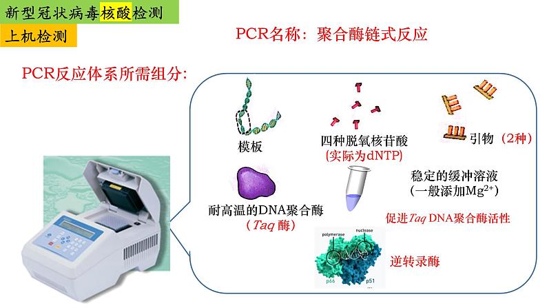 2023届高三生物复习课件高考热点-新冠病毒的检测专题复习第8页