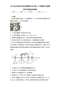 2023届云南省红河哈尼族彝族自治州高三下学期高考全真模拟考试理综生物试题（含解析）