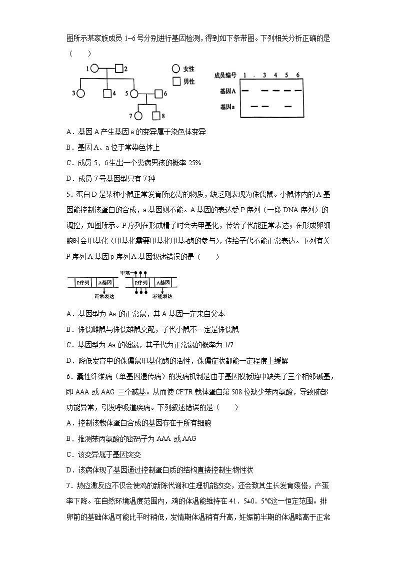 2023届重庆市七校高三三诊（模）生物试题（无答案）02