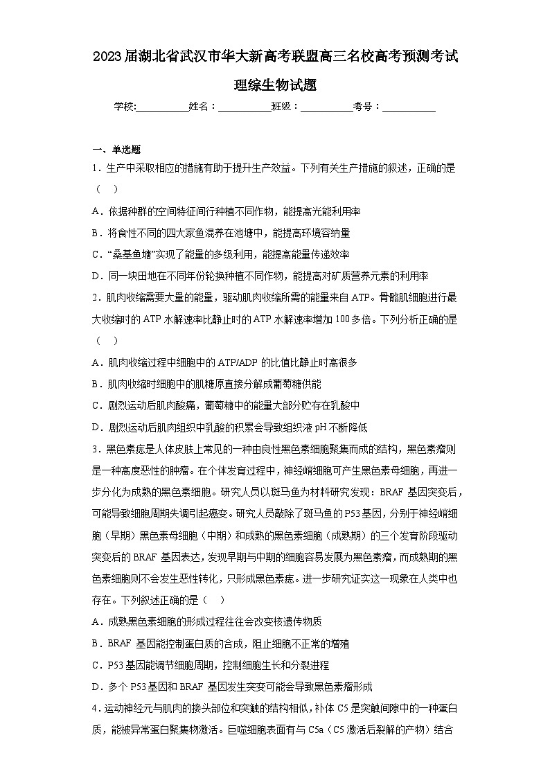 2023届湖北省武汉市华大新高考联盟高三名校高考预测考试理综生物试题（含解析）01