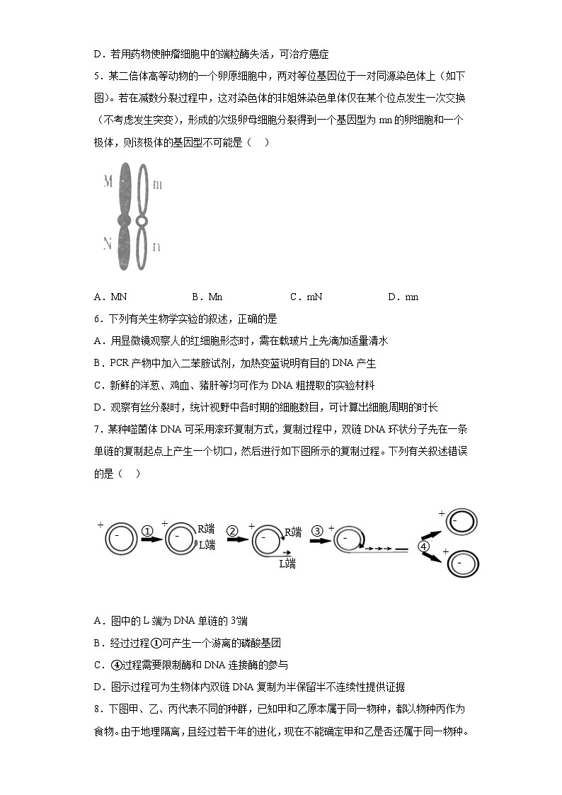 2023届江苏省盐城市高三三模生物试题（含解析）02