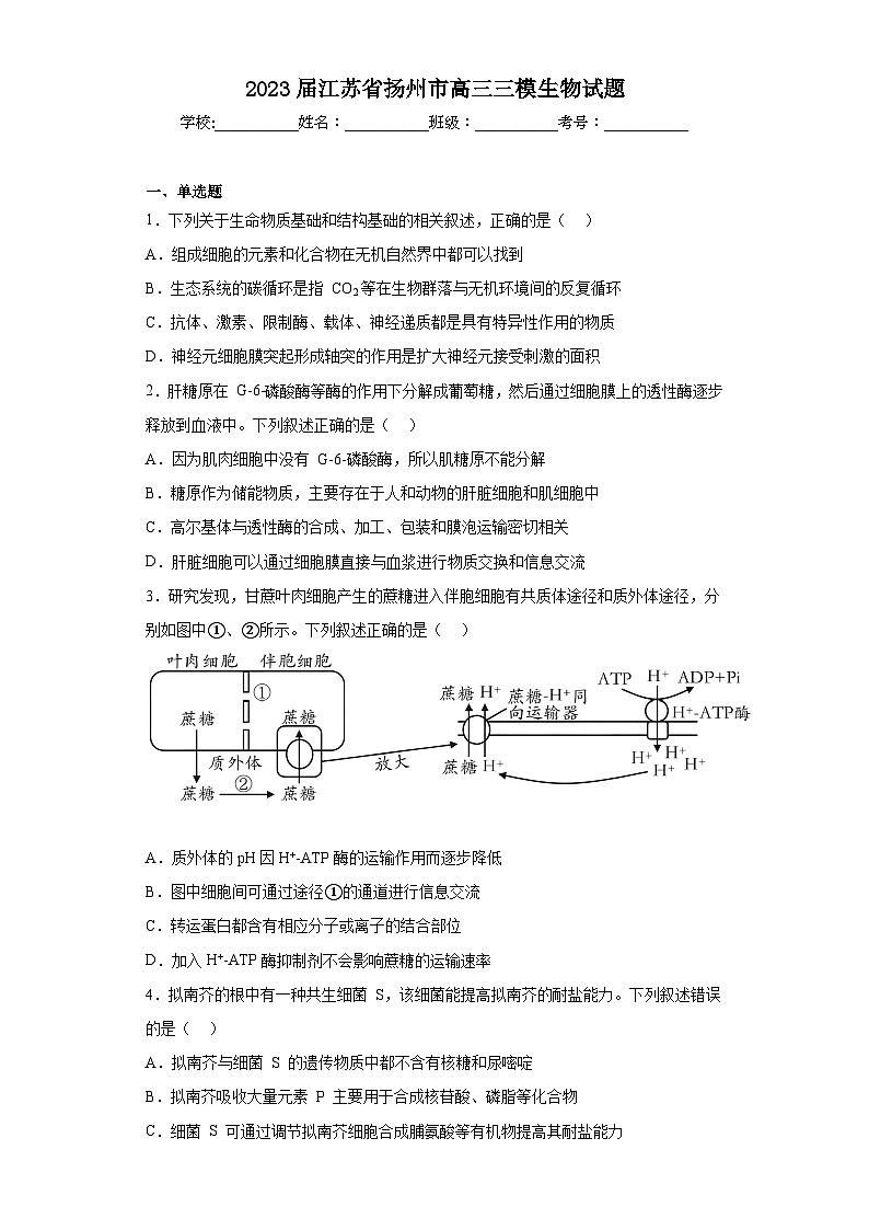 2023届江苏省扬州市高三三模生物试题（含解析）01