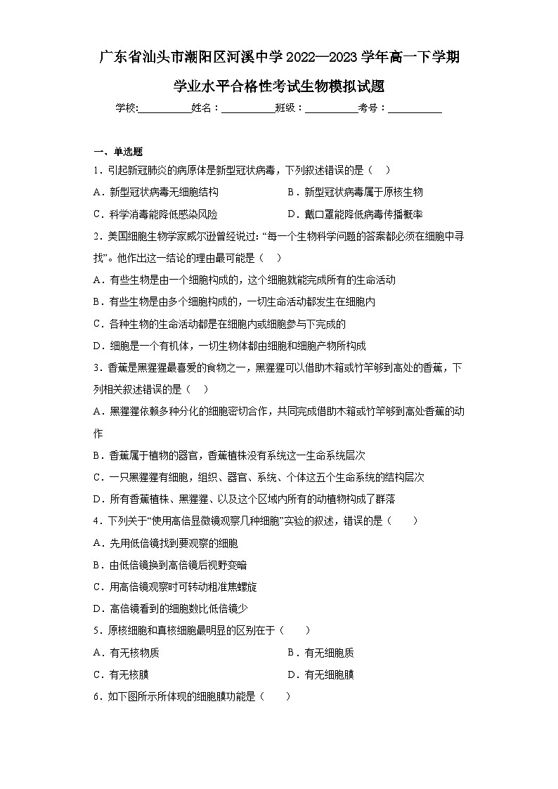 广东省汕头市潮阳区河溪中学2022—2023学年高一下学期学业水平合格性考试生物模拟试题（含解析）01