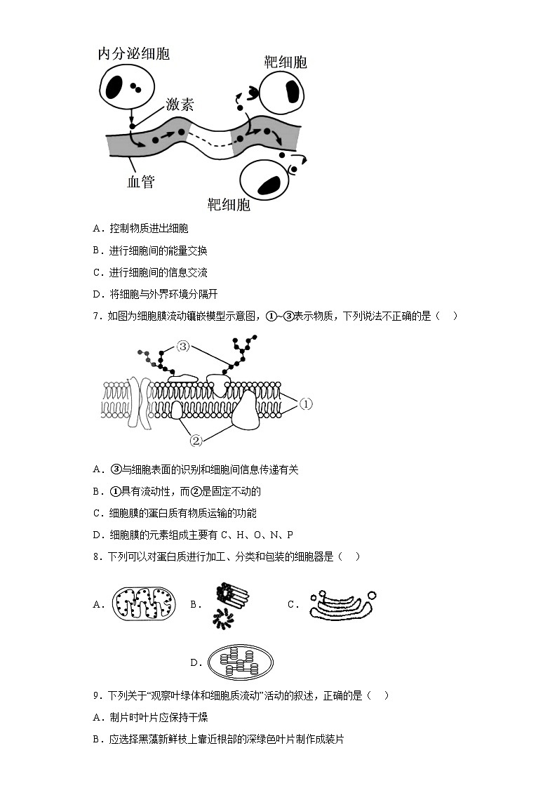 广东省汕头市潮阳区河溪中学2022—2023学年高一下学期学业水平合格性考试生物模拟试题（含解析）02