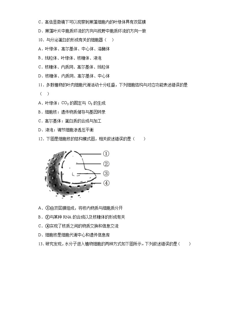 广东省汕头市潮阳区河溪中学2022—2023学年高一下学期学业水平合格性考试生物模拟试题（含解析）03