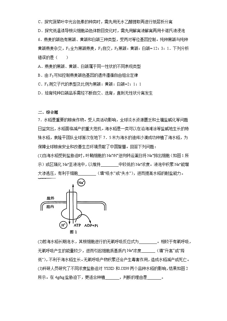 2023届山西省大同市高三三模l理综生物试题（含解析）02