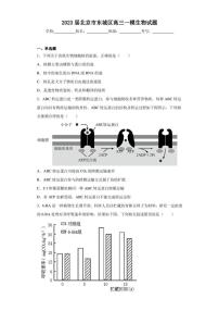2023届北京市东城区高三一模生物试题（含答案解析）
